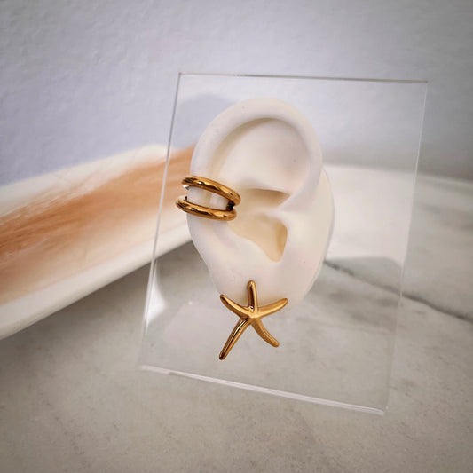 Starfish studs